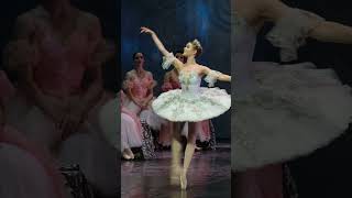 classical Russian ballet The Nutcracker [upl. by Yrtnej]