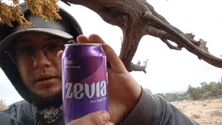 Review Zevia Grape Zero Sugar Soda [upl. by Preuss]