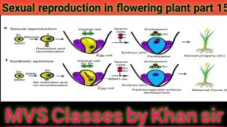 Sexual reproduction in flowering plant part 15 [upl. by Eixam46]