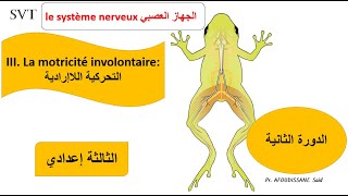 Système nerveuxMouvements involontaires الإنعكاسيةالتحركية اللاإرادية [upl. by Enyawud933]