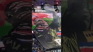 TIFO PALESTINE  VIRAGE AUTEUIL ultras collectifultrasparis psg virageauteuil [upl. by Pudendas]