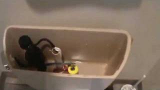 Troubleshooting a leaking toilet [upl. by Salem]