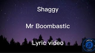 Shaggy  Mr Boombastic Lyric video [upl. by Haff]