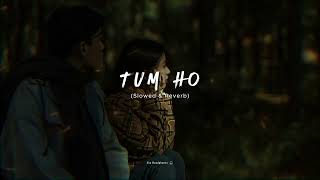 Rockstar Tum Ho Slowed amp Reverb   Ranbir Kapoor  Nargis Fakhri  Lyricssayss [upl. by Marys]