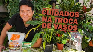 Dicas e Segredos para a Troca de Vasos das plantas  Gaspar Yamasaki e Biomix [upl. by Aihn]