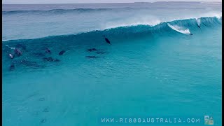 37 Dolphins Surfing Together Esperance WA [upl. by Kristina]