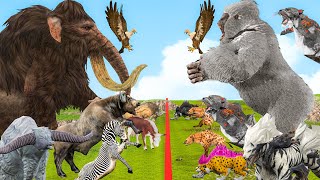 Black Panther Fight White Tiger Wolf Vs Mammoth Vs Tiger Attack Cow Elephant Saved By Woolly Mammoth [upl. by Taran]