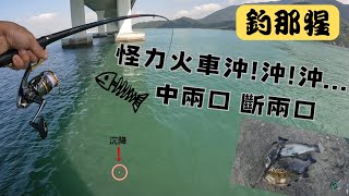 20231122 港珠澳釣行“怪力火車頭” 釣魚 港珠澳  Fishing [upl. by Otrebron]