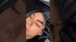 Eyebrow Tinting amp Dye 🙌 [upl. by Jaclin]