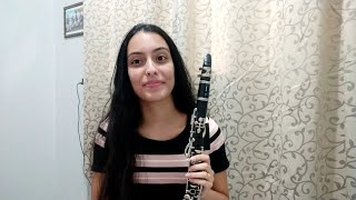 Hino 454  Cidadão dos céus Tocado na Clarineta Vivian Novaes [upl. by Ahsiekel]