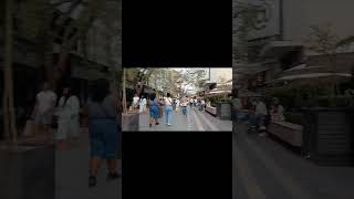 rosebank johannesburg southafrica travel trending viralvideo trending viralvideo shorts [upl. by Lynn]