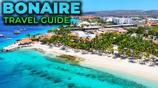 BONAIRE Travel Guide  Top 10 Best Things To Do [upl. by Monia]