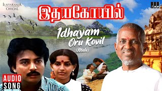 Idhayam Oru Kovil Male  Idaya Kovil Movie  Tamil Song  Ilaiyaraaja  SPB  Mohan  Ambika [upl. by Abraham]