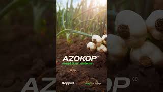 AZOKOP 💚 Formulado con 𝘼𝙯𝙤𝙨𝙥𝙞𝙧𝙞𝙡𝙡𝙪𝙢 𝙗𝙧𝙖𝙨𝙞𝙡𝙚𝙣𝙨𝙚 [upl. by Tare]