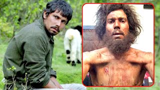 5 Best Movies Of Actor Randeep Hooda  Lehren TV [upl. by Huntington]