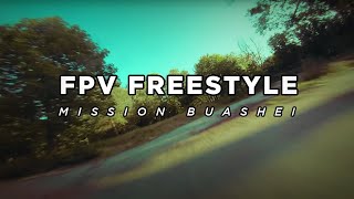 FPV Freestyle  MissionBuashei [upl. by Fontana688]