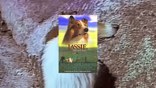 Lassie und die Goldgräber 1951 Stream  Filmklassiker  Kostenlos ganzer Film auf Deutsch [upl. by Nedyarb]