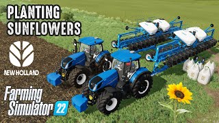 Planting Sunflowers 2023  New Holland T7 amp Kinze 4905 Blue Drive  Farming Simulator 22 [upl. by Lucius]