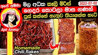 ✔ මිල අධික කෑලි මිරිස් ගෙදර කොටලා පුස් කන්නේ නැතුව මාස ගණන් තියාගමු Homemade Chili flakes Apé Amma [upl. by Sells]