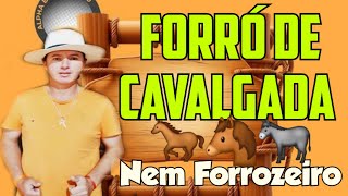 FORRÓ DE CAVALGADA Nem Forrozeiro [upl. by Wurst]