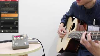 LR Baggs  Voiceprint DI acoustic guitar Impulse Response Pedal Demo [upl. by Gardas589]