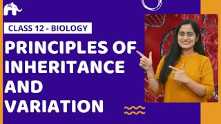 Principles of Inheritance and Variation Class 12 Biology Genetics One Shot NCERT CBSE NEET [upl. by Rorie]