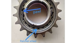 Ratchet and pawl mechanism freewheel [upl. by Aili696]