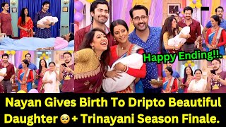 Trinayani Zee World Weekly Teasers From 10th To 17th November 2024 Teaser Update In English [upl. by Hctub]