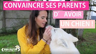 CONVAINCRE SES PARENTS DAVOIR UN CHIEN  PART 3 ✿ EnjoyingLife [upl. by Ciredec]