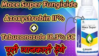 Mace Super Fungicide Azoxystrobin 11 Tebuconazole 183 SC Full Details 👈😱🇮🇳👍🙏 [upl. by Ecnerrat]