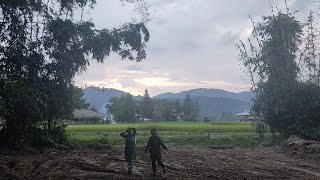 visited my friends paddy field [upl. by Noevad835]