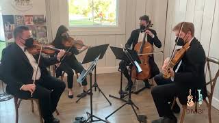 Intl Players Anthem I Choose You  UGK String Quartet Cover [upl. by Teressa]