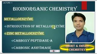 HINDI LECT11 CARBOXY PEPTIDASEA CARBONIC ANHYDRASE BIOINORGANIC CHEMISTRY CSIR JRF NET amp GATE [upl. by Sergio]