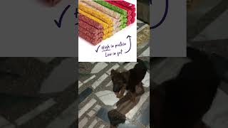 Puppy buddy Dog Chew Stick Munchy sticks cheken ampmutton flover 🦴puppyfeeding puppyfood [upl. by Alak386]