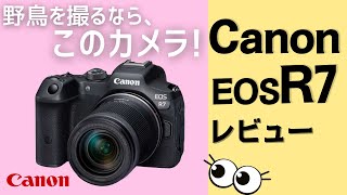 【徹底解説】Canonキヤノン EOS R7 コスパ最強おすすめミラーレスカメラをレビュー！ [upl. by Vergne108]