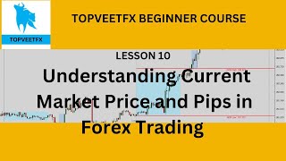 Master Forex Basics Current Market Price amp Pips Explained [upl. by Lorne]