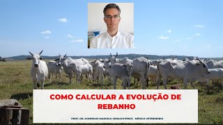 Como calcular a evolução de rebanho bovino [upl. by Nugesulo]