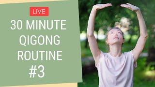 30 Minute Qigong Routine  Qigong Exercises for Beginners [upl. by Cowie]