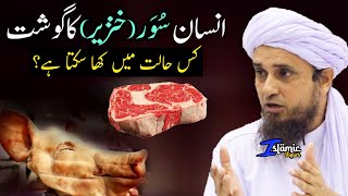 Khinzeer Ka Gosht Kab Kha Sakte Hein  Mufti Tariq Masood  Islamic Views [upl. by Coplin]