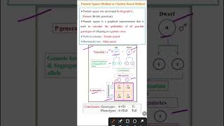 Punnett Square Method  Checker board method  Genetics class 12 [upl. by Joris575]