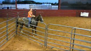 Valley View Ranch  Smokin Quixote Girl  sorting 1 [upl. by Berthold]