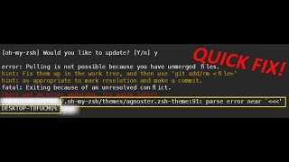 OhMyZsh Update error  fixing host name unresolved conflict [upl. by Nabe]