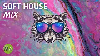 Deep Focus Upbeat Study Music Soft House Raccoon Mix Isochronic Tones [upl. by Leahcam920]