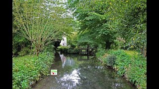 ® jardin quotles penséesquot [upl. by Ruthe]