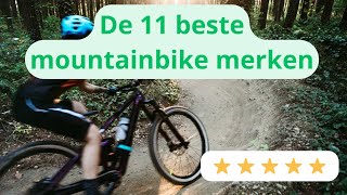 De TOP 11 Beste Mountainbike Merken [upl. by Pontus]