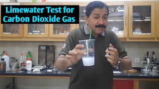 Limewater Test for Carbon Dioxide 🔥  Testing for CO2 Carbon dioxide with Limewater in 2023 Asif [upl. by Malena57]