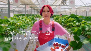 Amex  TVCMビジネスに追い風を。いちご農家篇 60” [upl. by Nyladnewg]