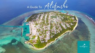 Island Guide Alifushi Raa Atoll [upl. by Outlaw]