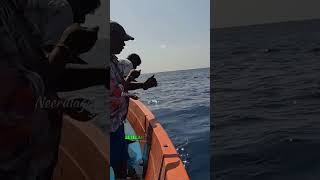 Umpan ikan hidup umpan mancing nelayan laut fishing fisherman trevally kuwe gerong boat [upl. by Venola608]