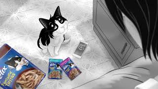 ¿Ya conoces los sobresitos Purina® Felix®¡ [upl. by Shanks]